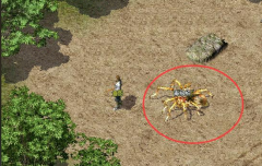 探寻新藏宝阁两种方法取得技术书外满足